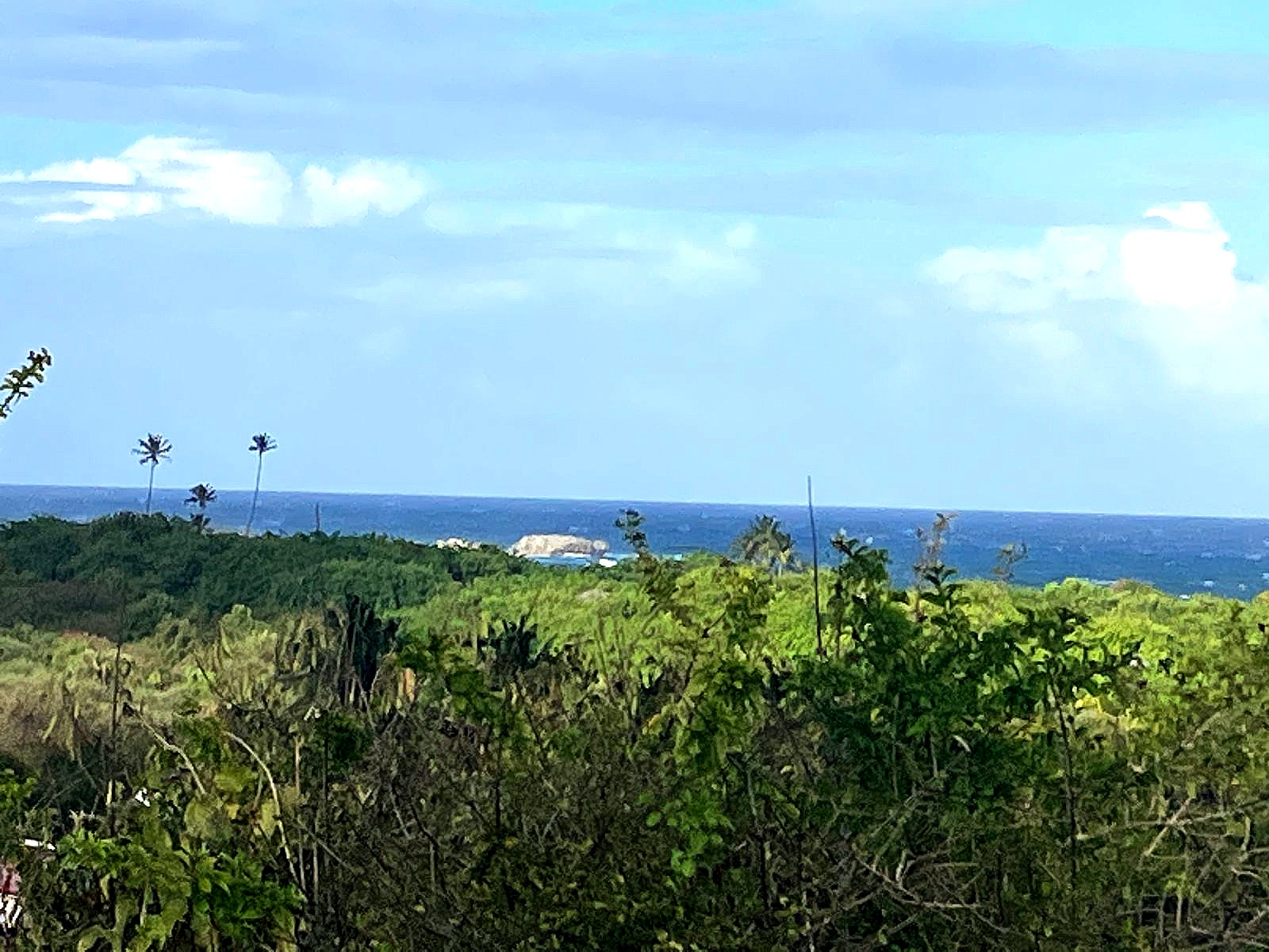 Terrain Constructible  Sainte-Anne