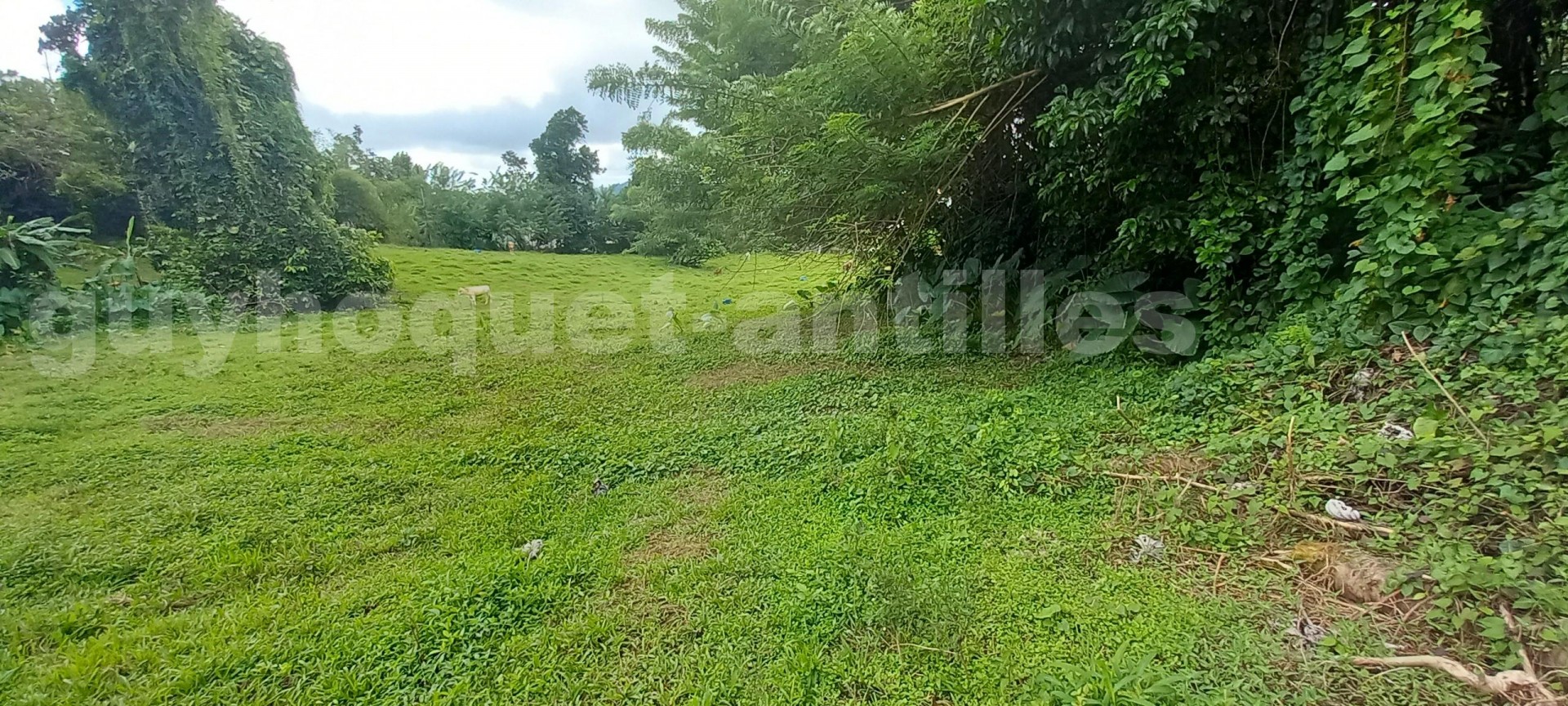 Terrain Constructible  Sainte-Marie