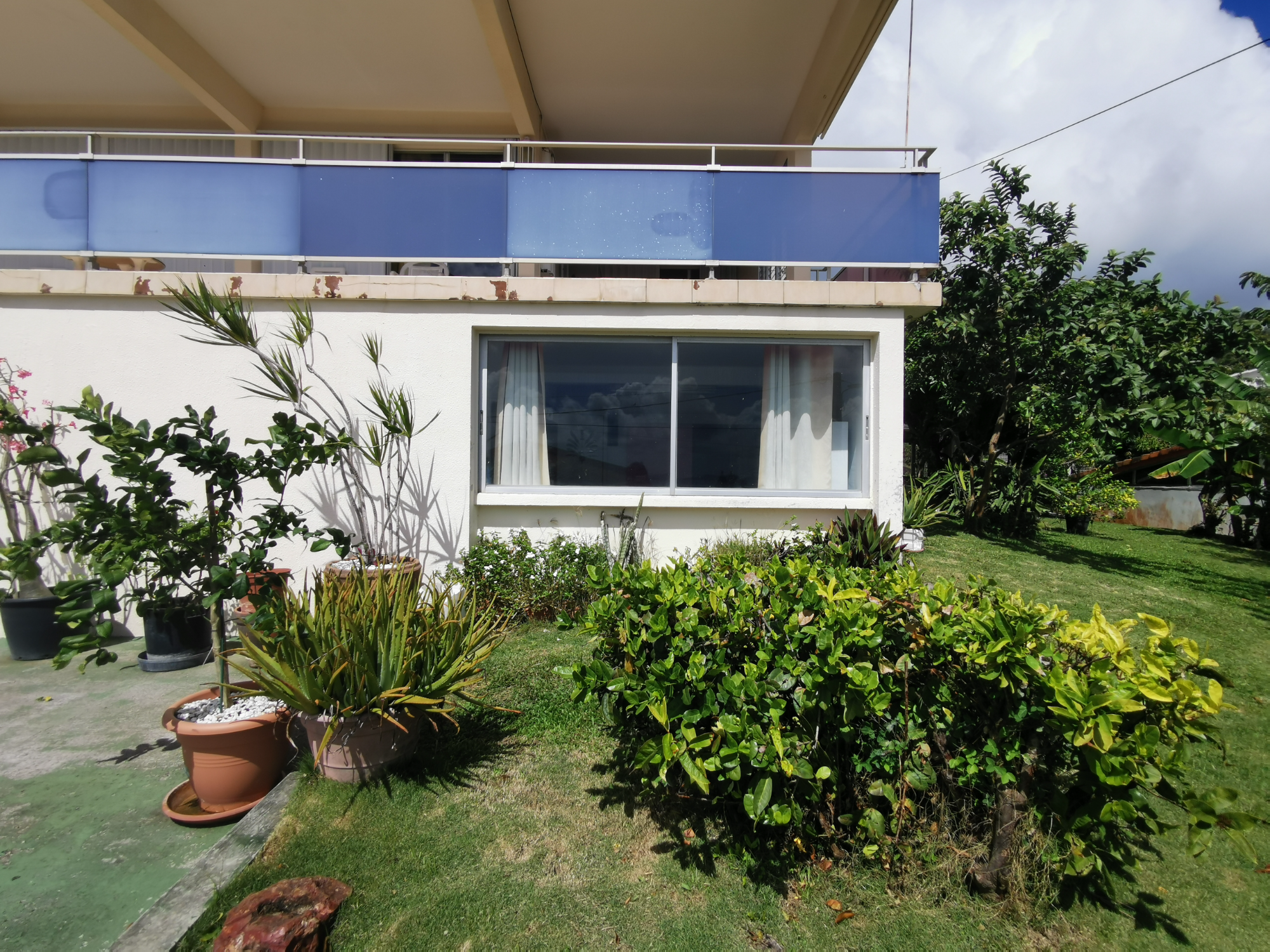 Appartement 1 Pièce(s) Schoelcher