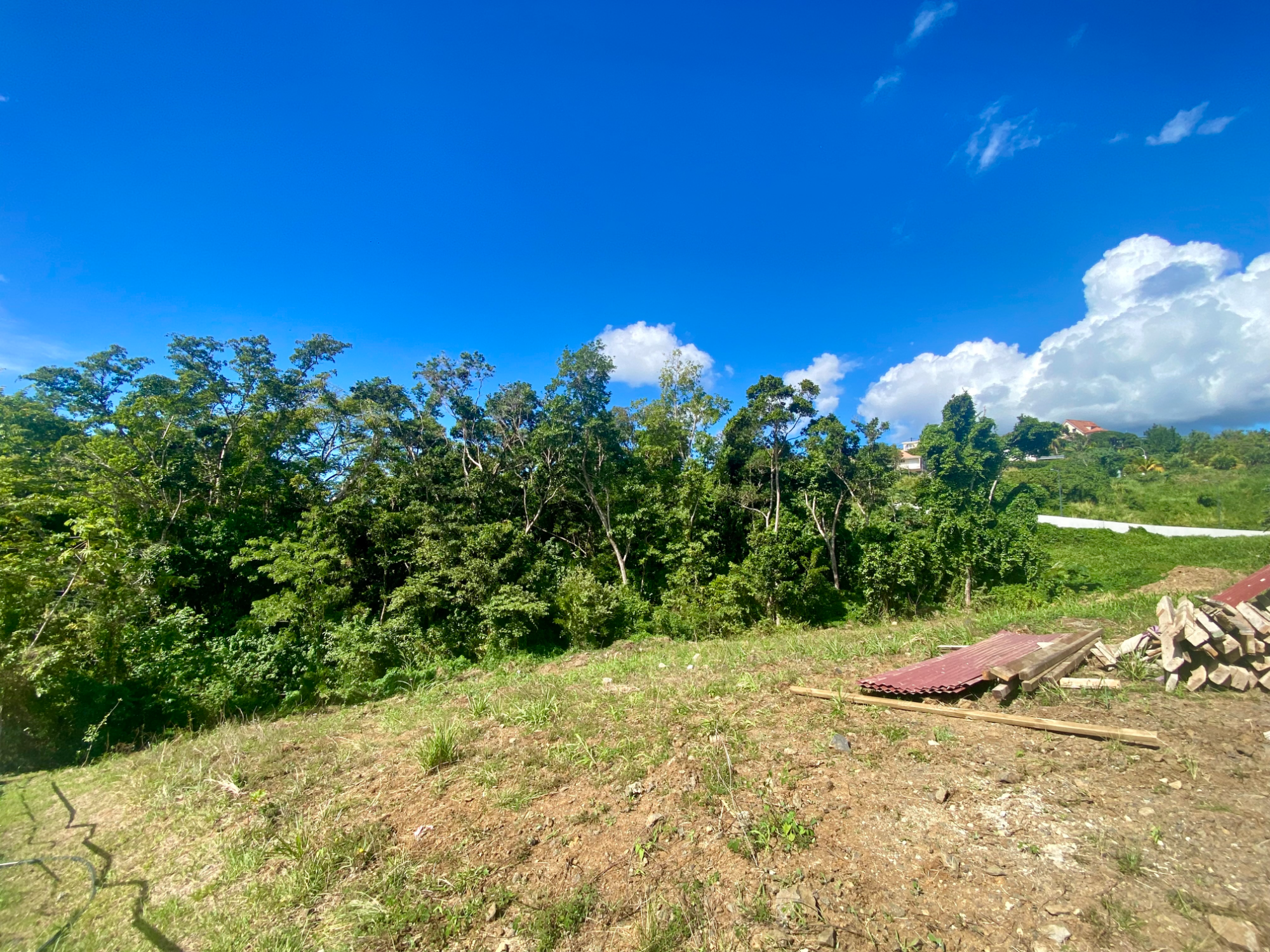 Terrain à batir  Schoelcher