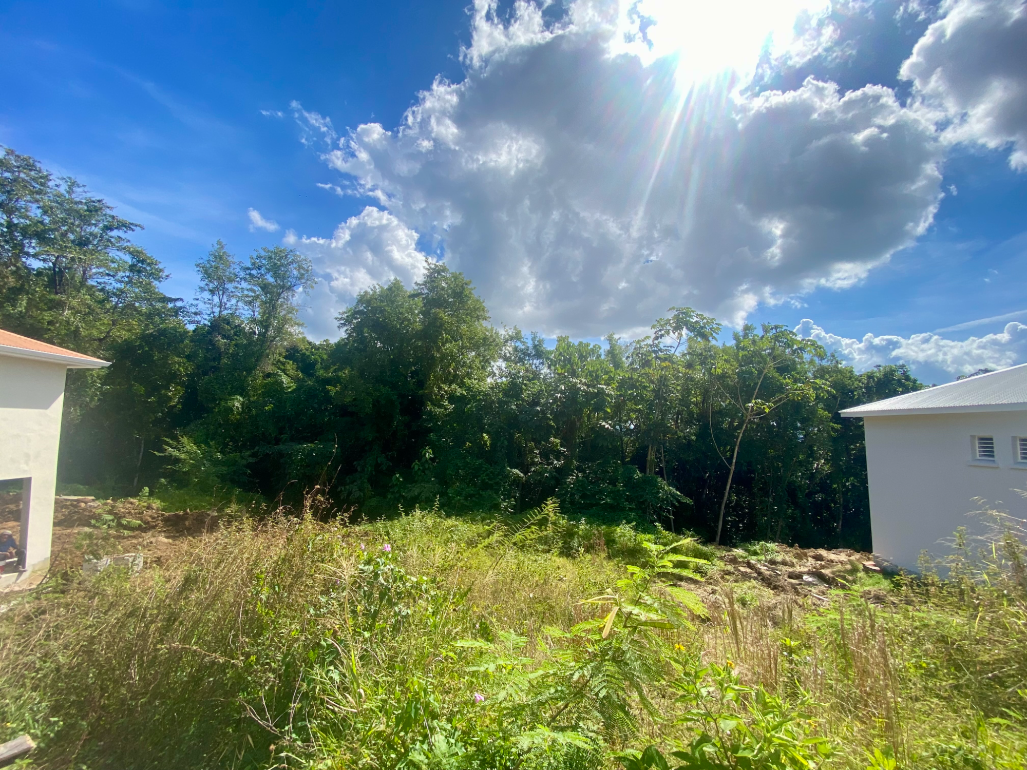 Terrain à batir  Schoelcher
