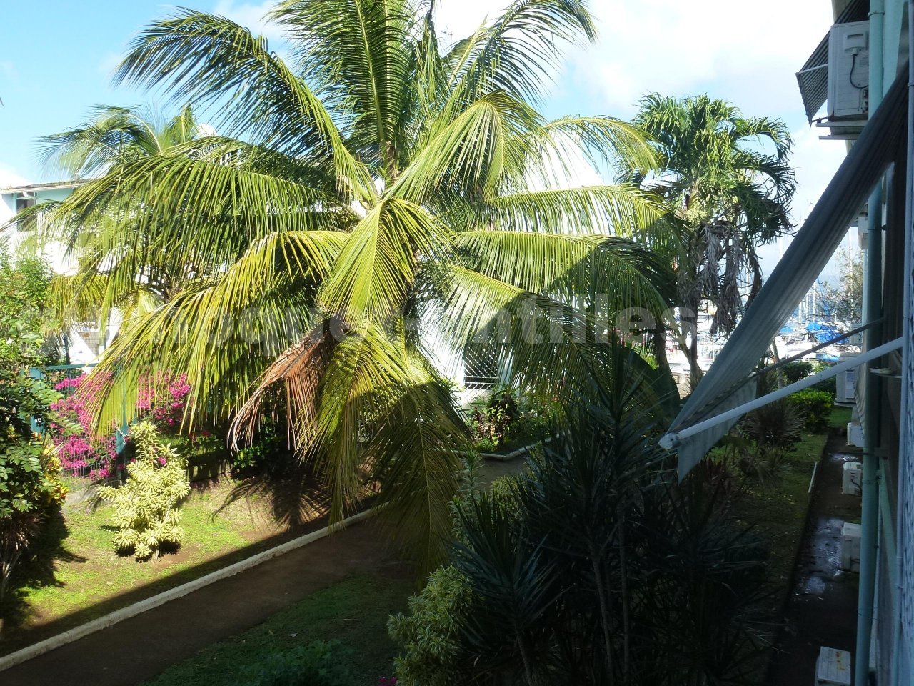 Appartement 2 Pièce(s) LES TROIS-ILETS