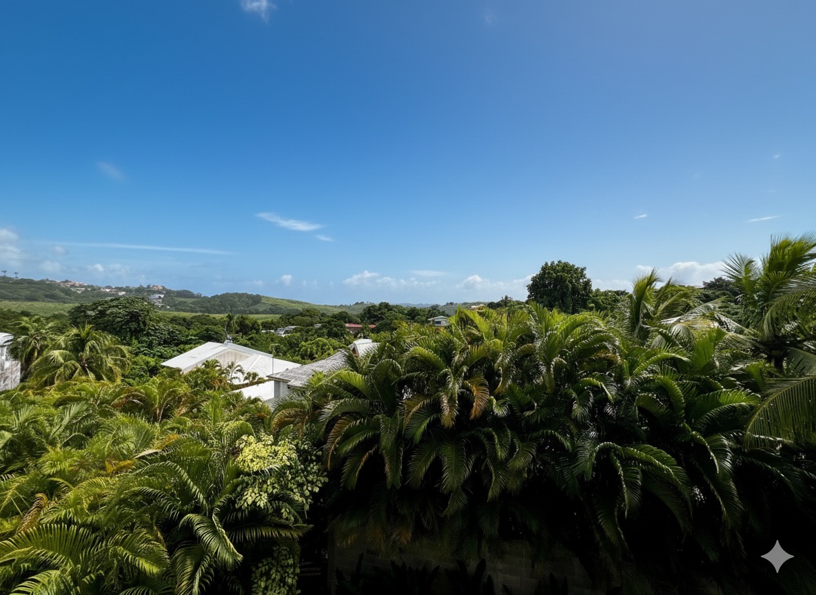 Appartement 4 Pièce(s) Fort-de-France