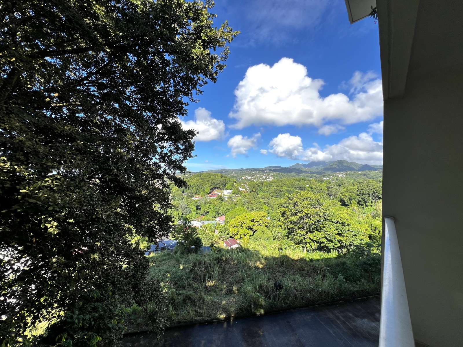 Appartement 2 Pièce(s) FORT-DE-FRANCE