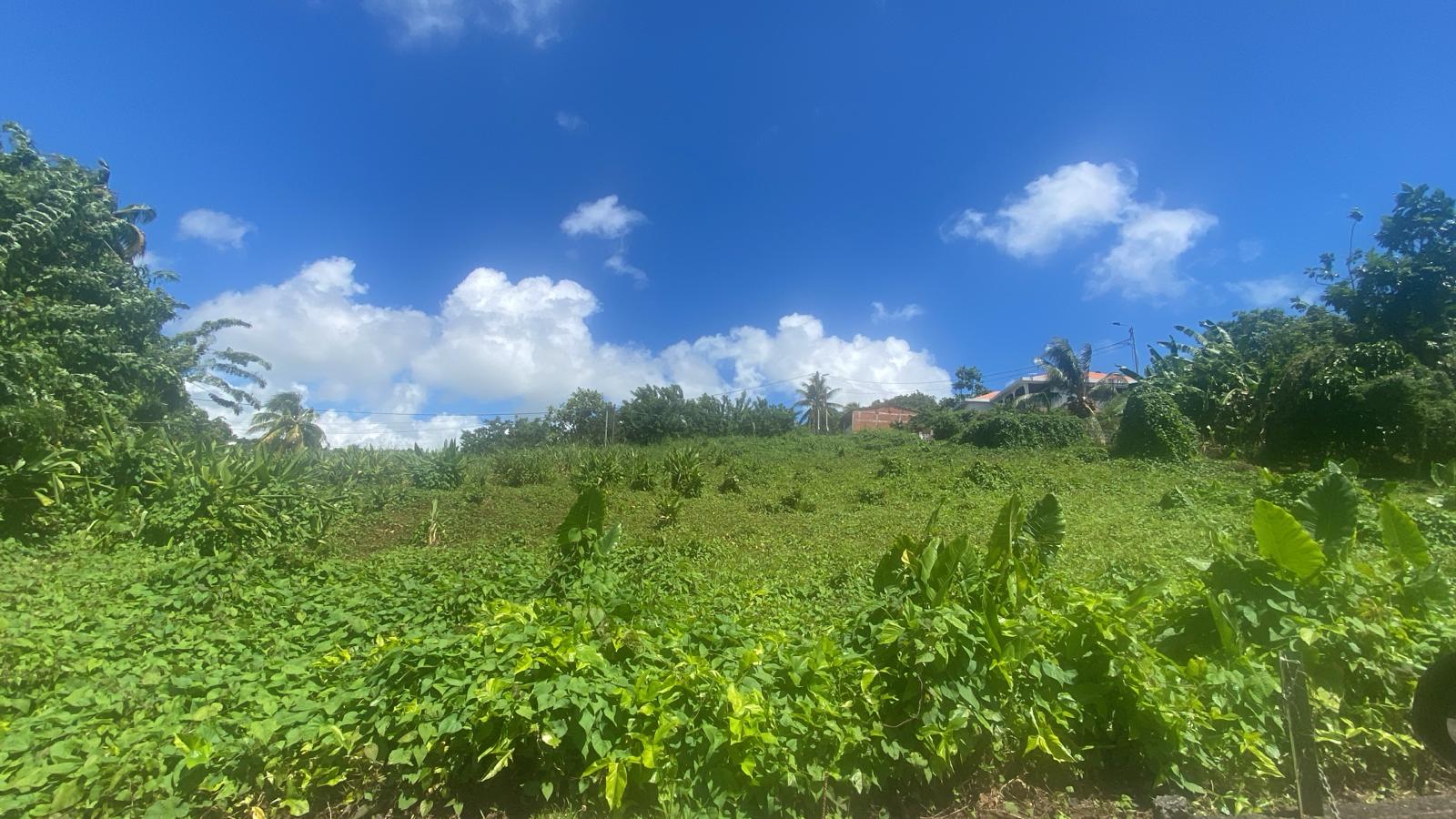 Terrain Constructible  Rivière-Salée