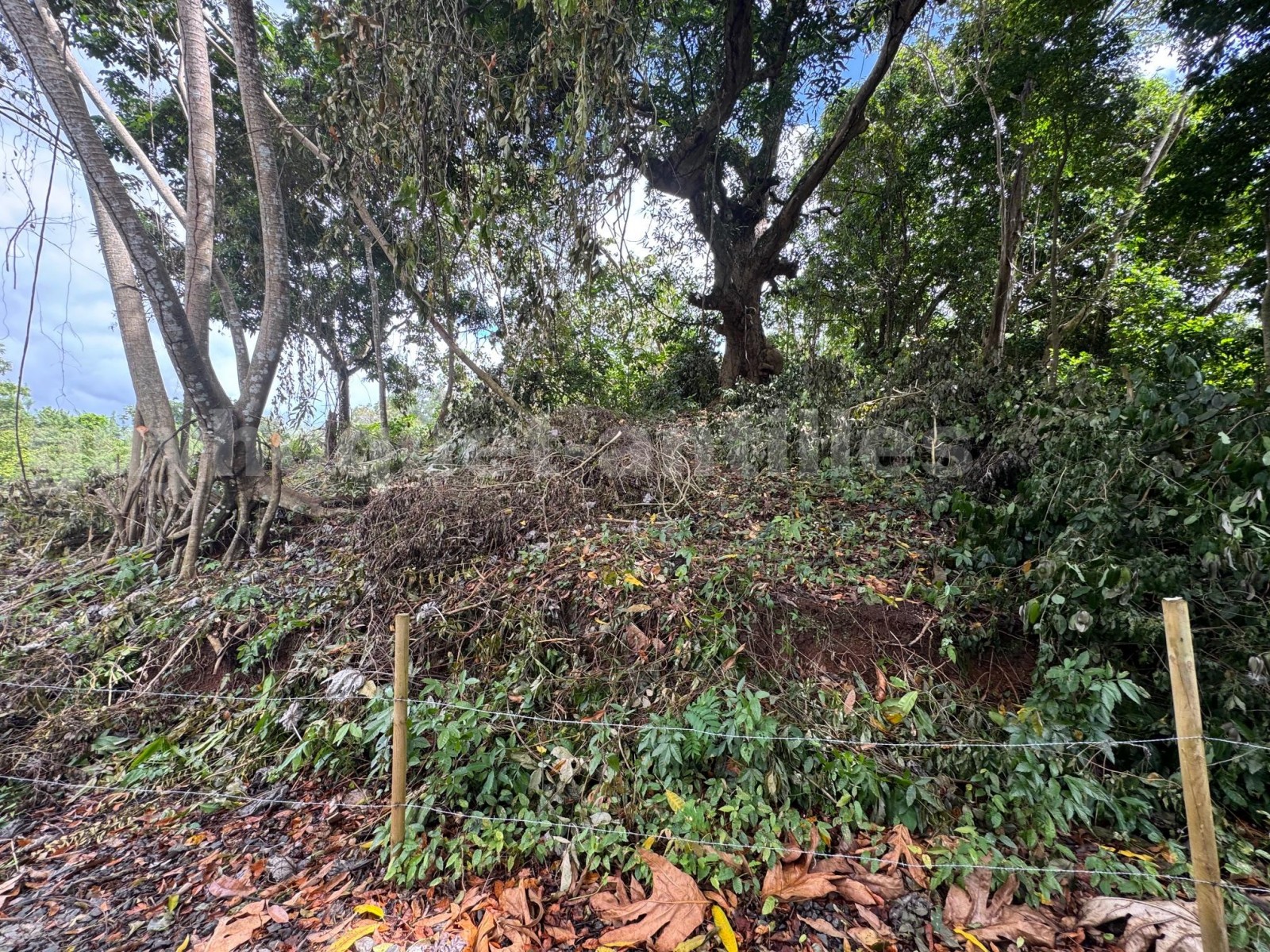 Terrain Constructible  Ducos