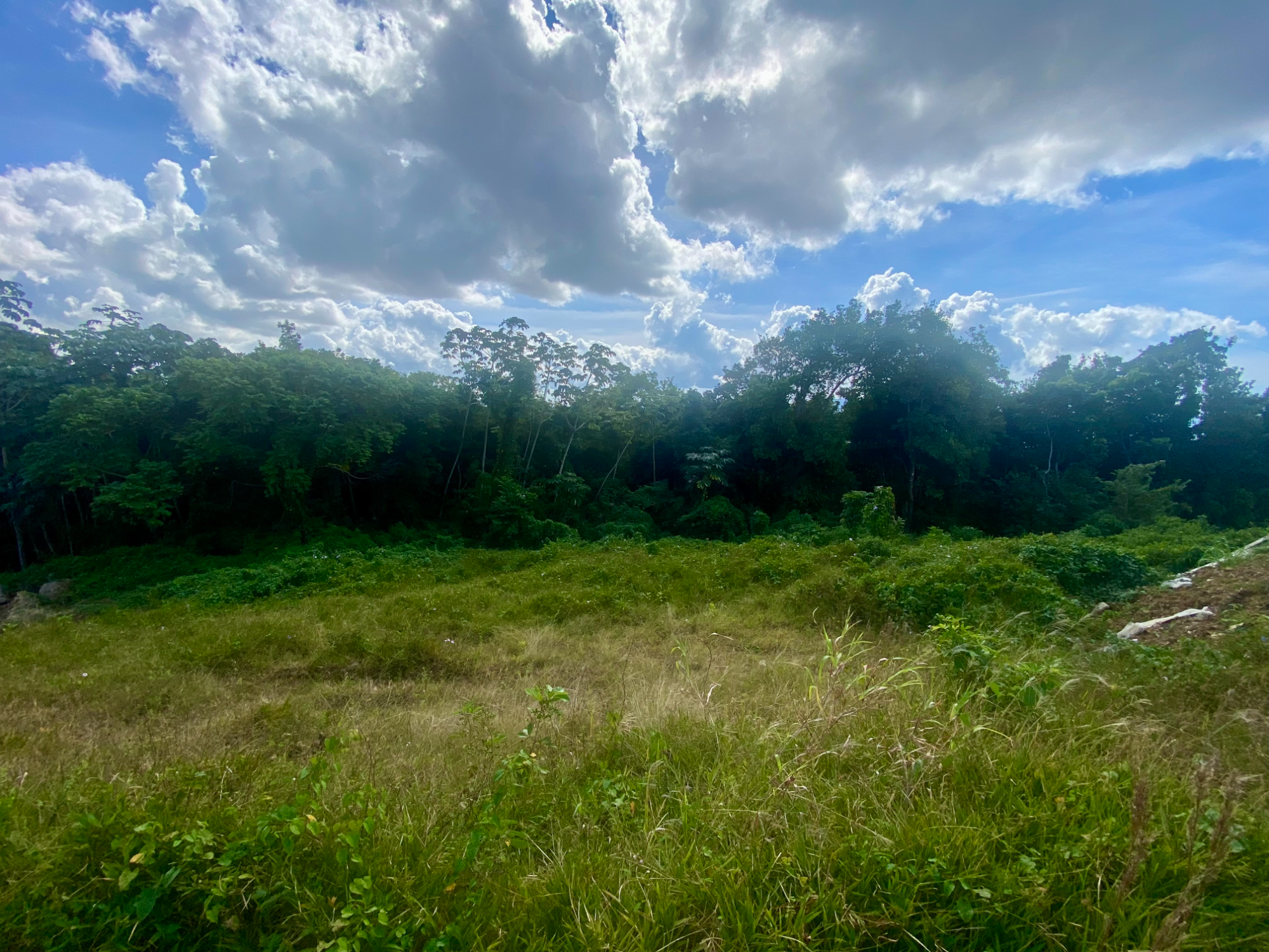 Terrain à batir  Schoelcher