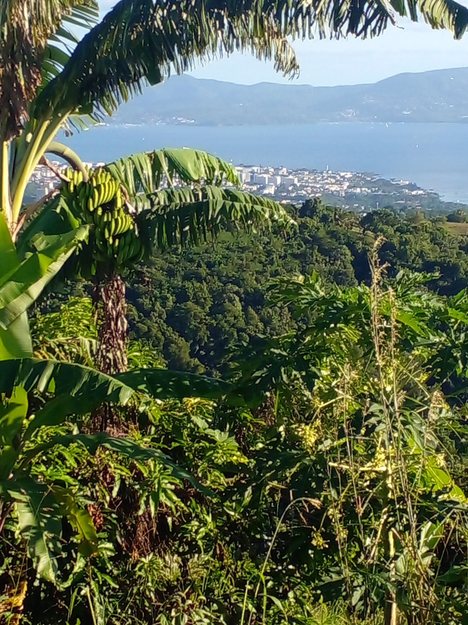 Terrain à batir  Case-Pilote