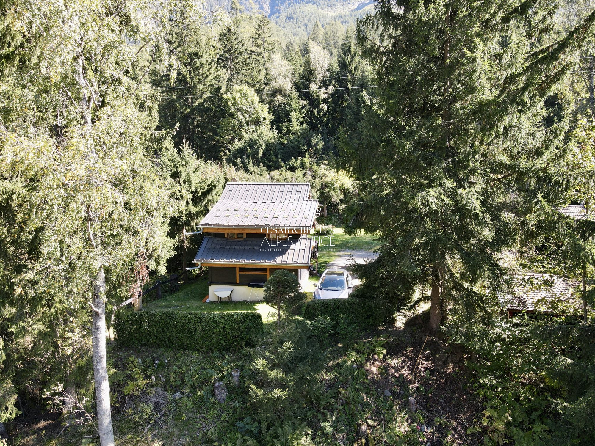 Chalet 3 Pièce(s) Chamonix-Mont-Blanc