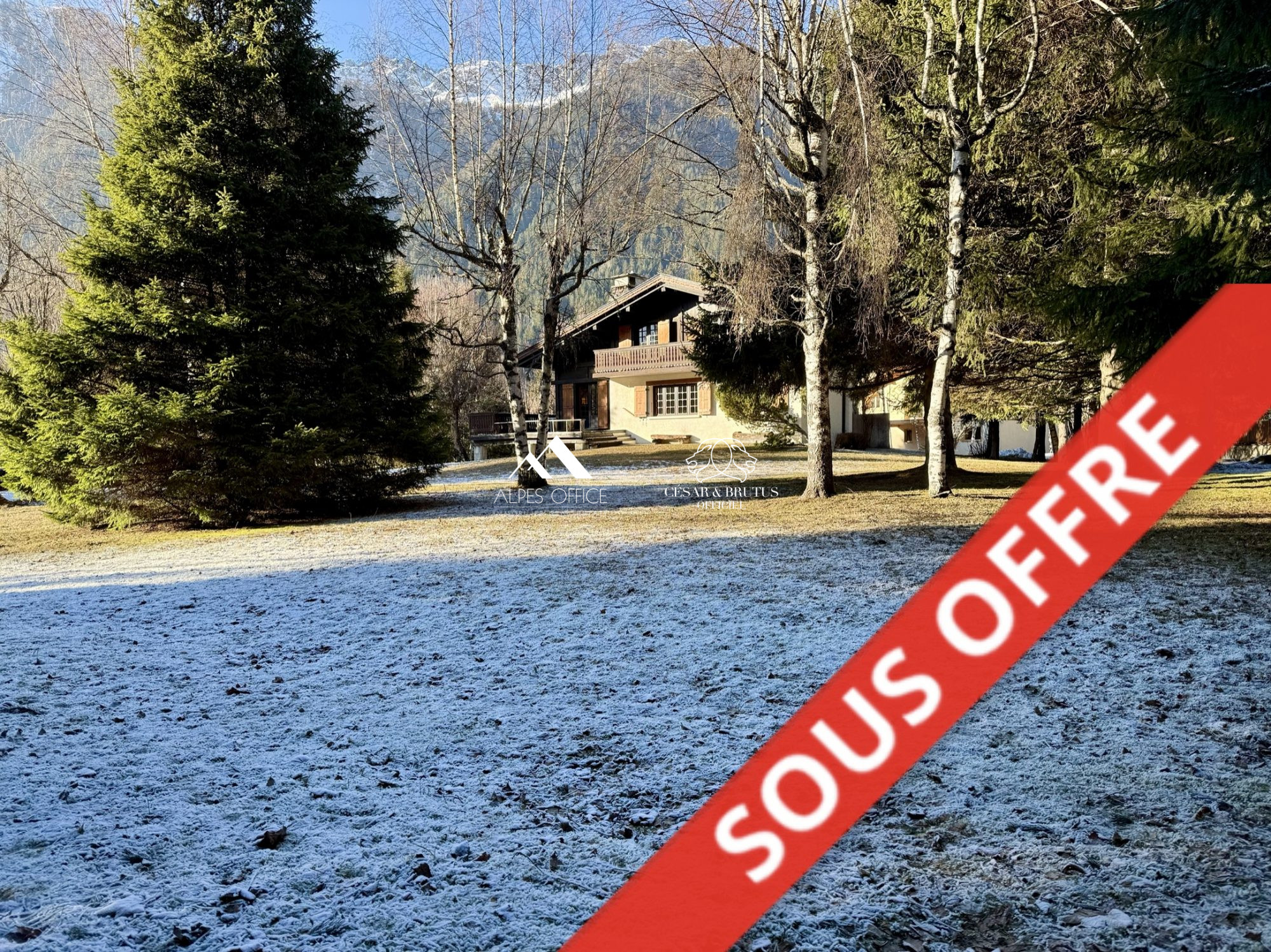 Chalet 4 Pièce(s) Chamonix-Mont-Blanc