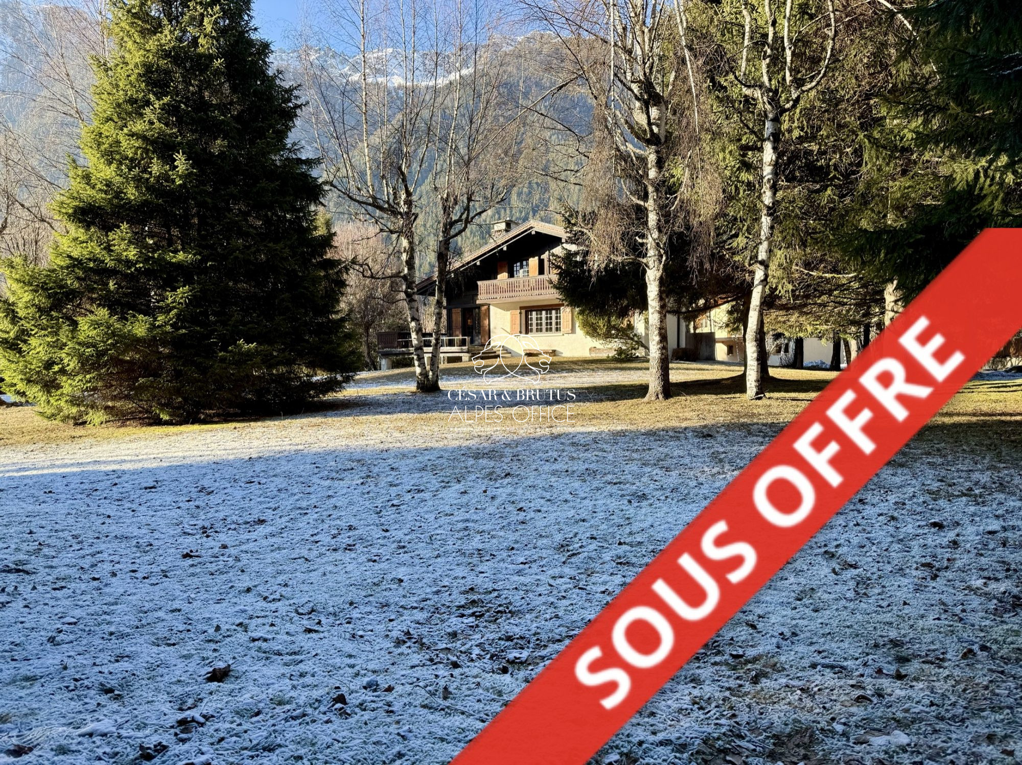 Chalet 4 Pièce(s) Chamonix-Mont-Blanc