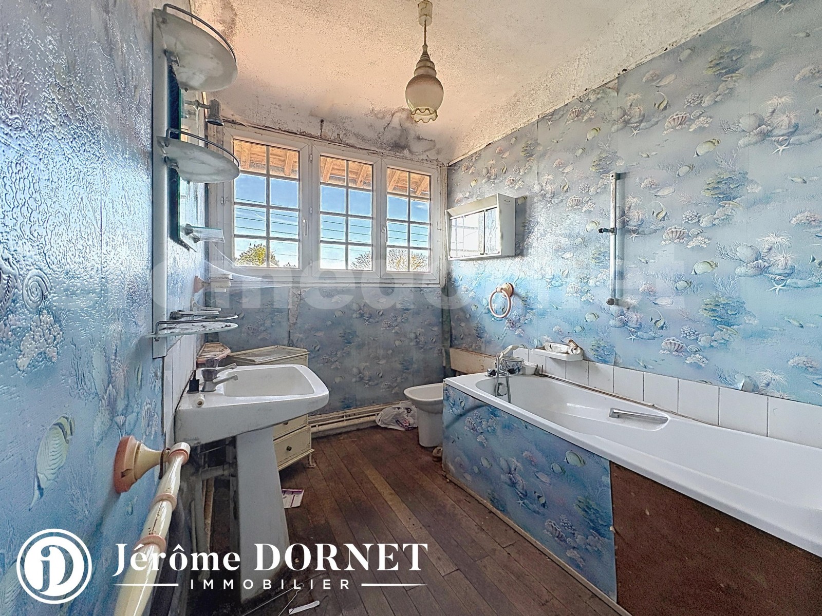 Vente Maison 3 Pièce(s) FORMERIE (60220) — 20