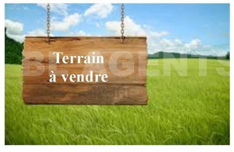 Terrain  GAZERAN