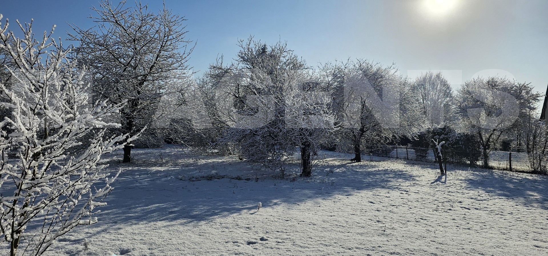 Terrain  SAVIGNE-L'EVEQUE