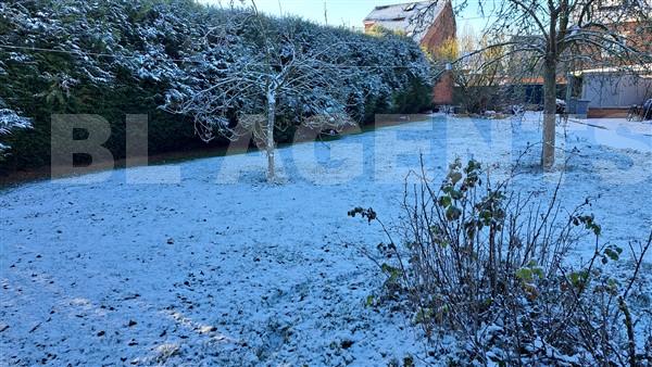 Terrain  ALLENNES-LES-MARAIS