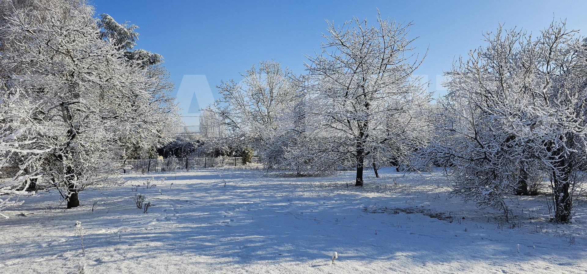 Terrain  SAVIGNE-L'EVEQUE