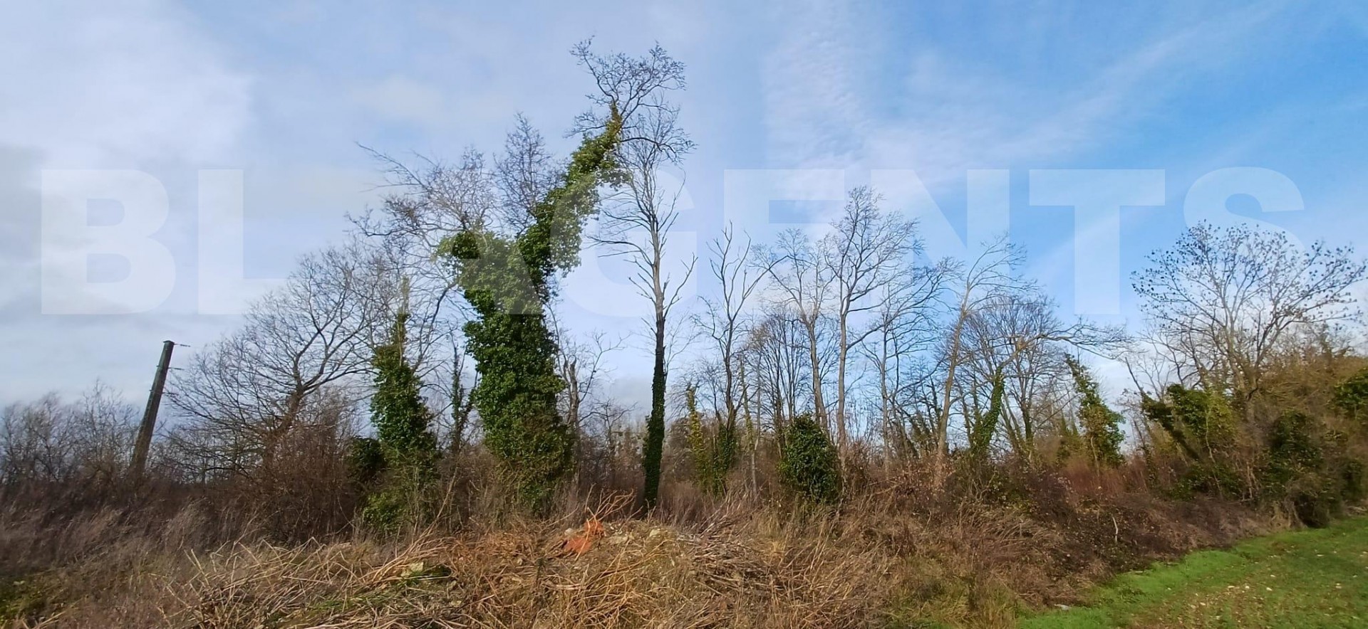 Terrain  GERMIGNY-L'EVEQUE