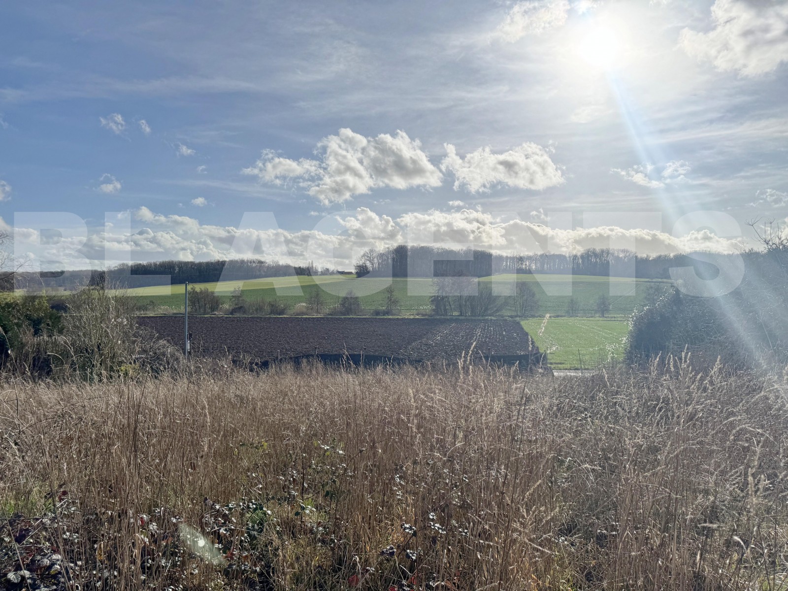 Terrain  COULOMMIERS