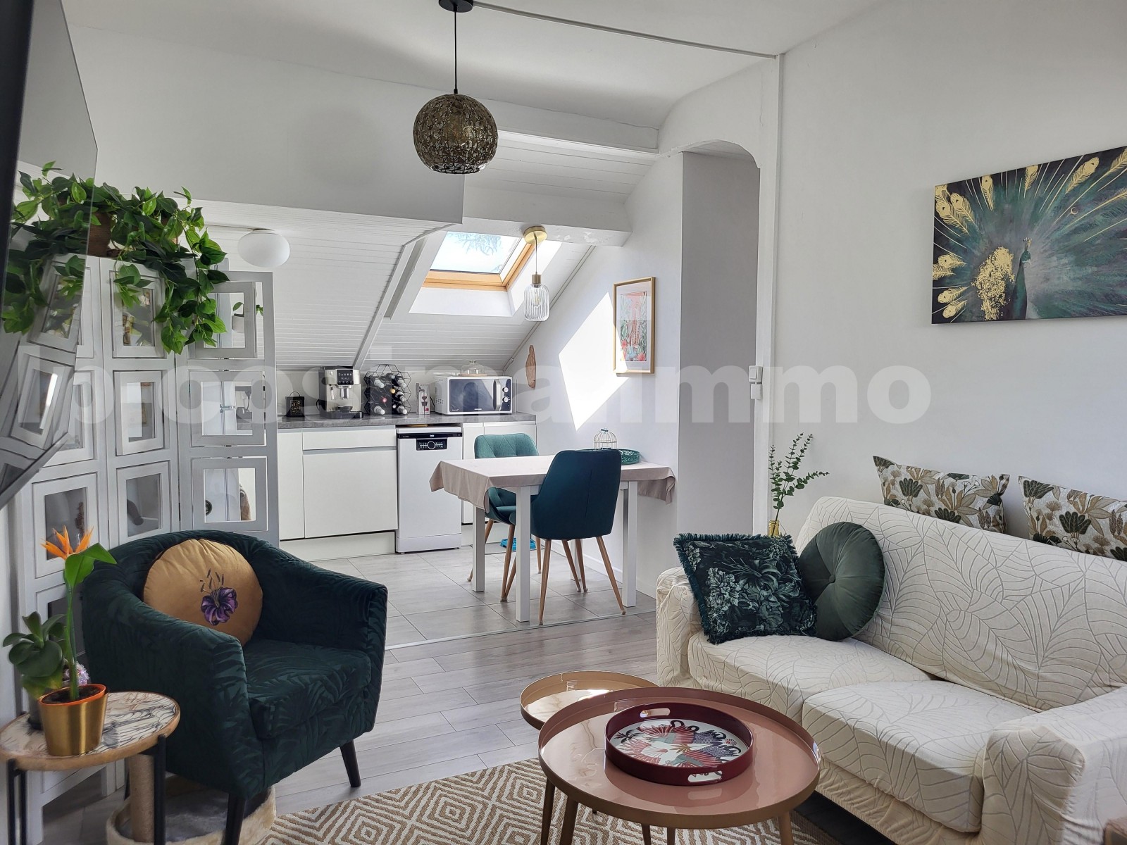 Appartement 3 Pièce(s) ANNEMASSE