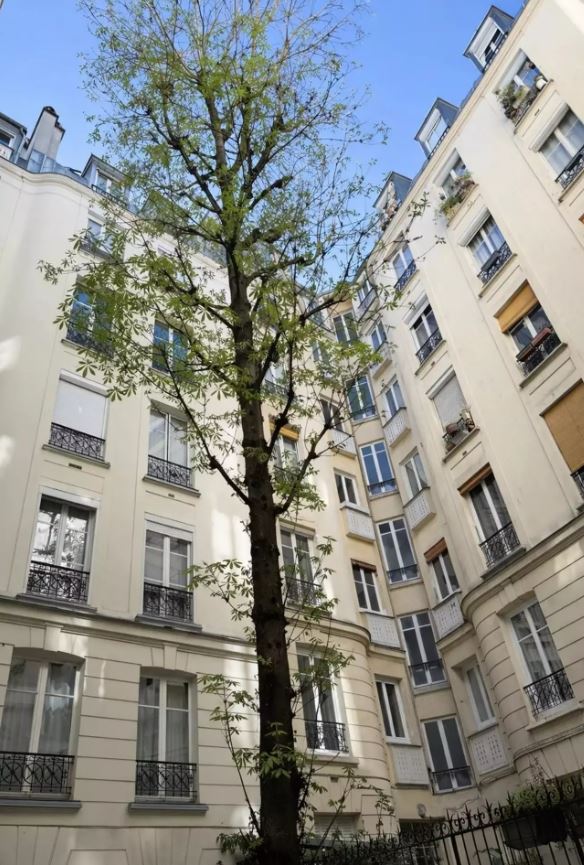 Appartement 2 Pièce(s) PARIS 18EME ARR. - Photo 6