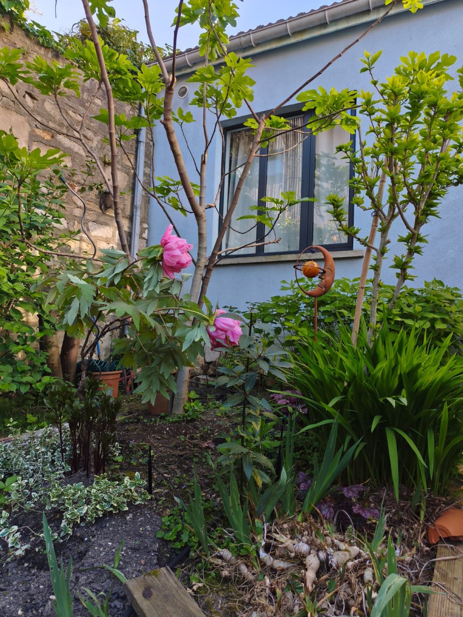 Maison 7 Pièce(s) LES LILAS - Photo 3