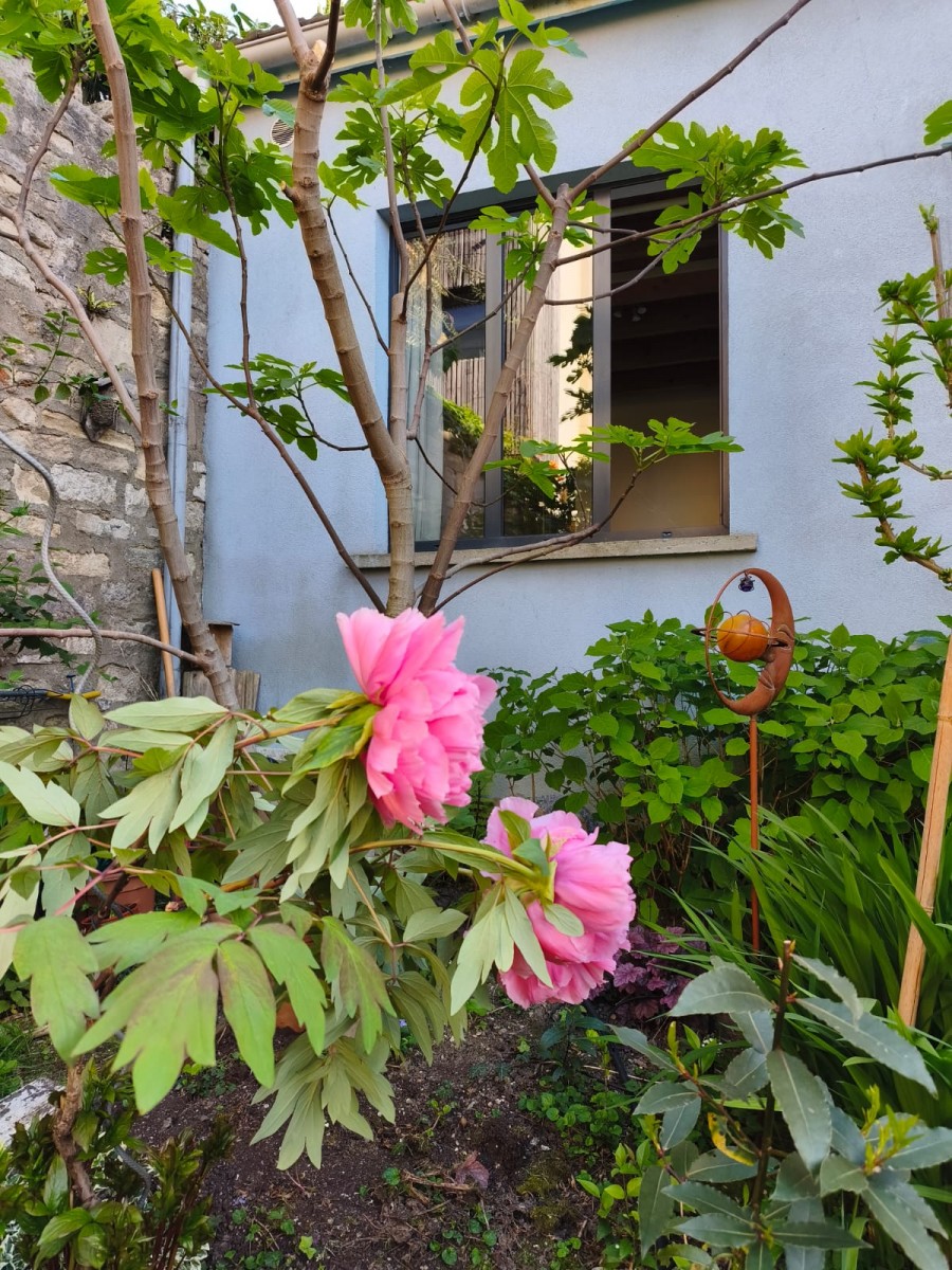 Maison 7 Pièce(s) LES LILAS - Photo 4