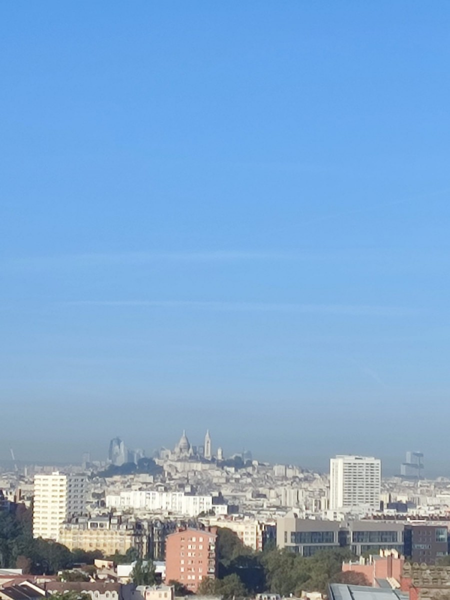 Appartement 2 Pièce(s) LES LILAS - Photo 10