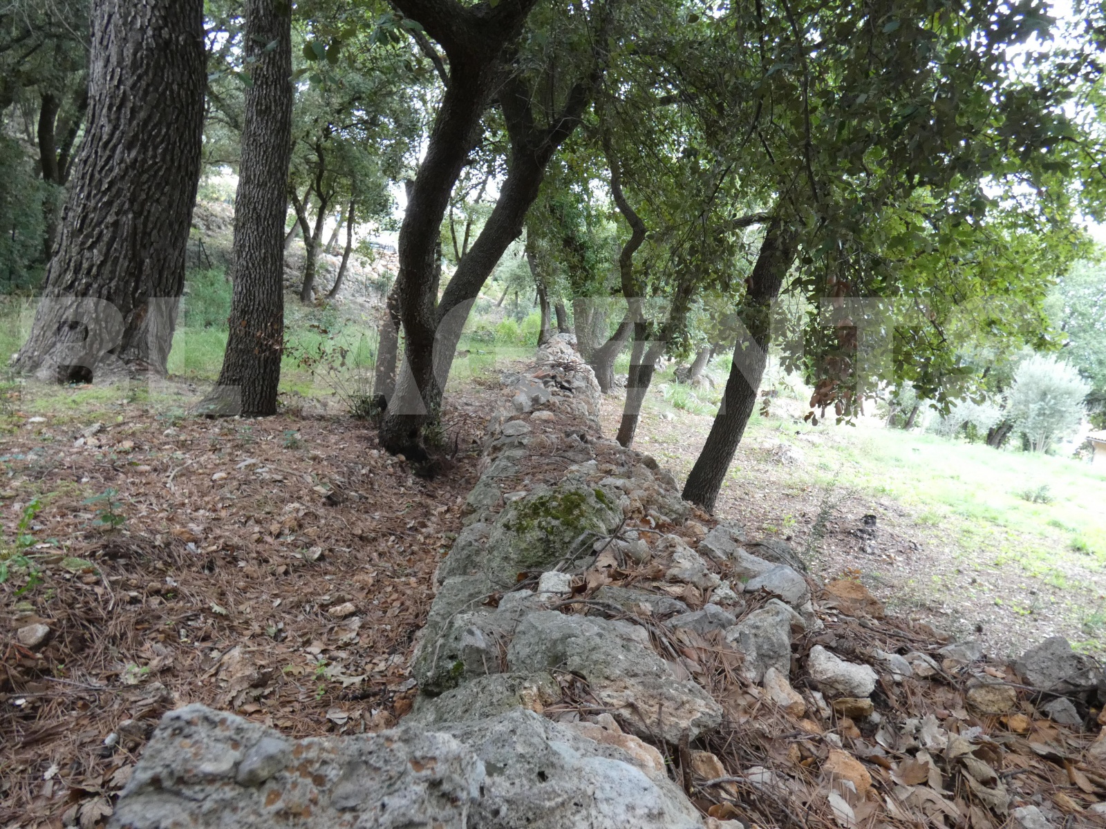 Terrain  LE CANNET-DES-MAURES - Photo 2