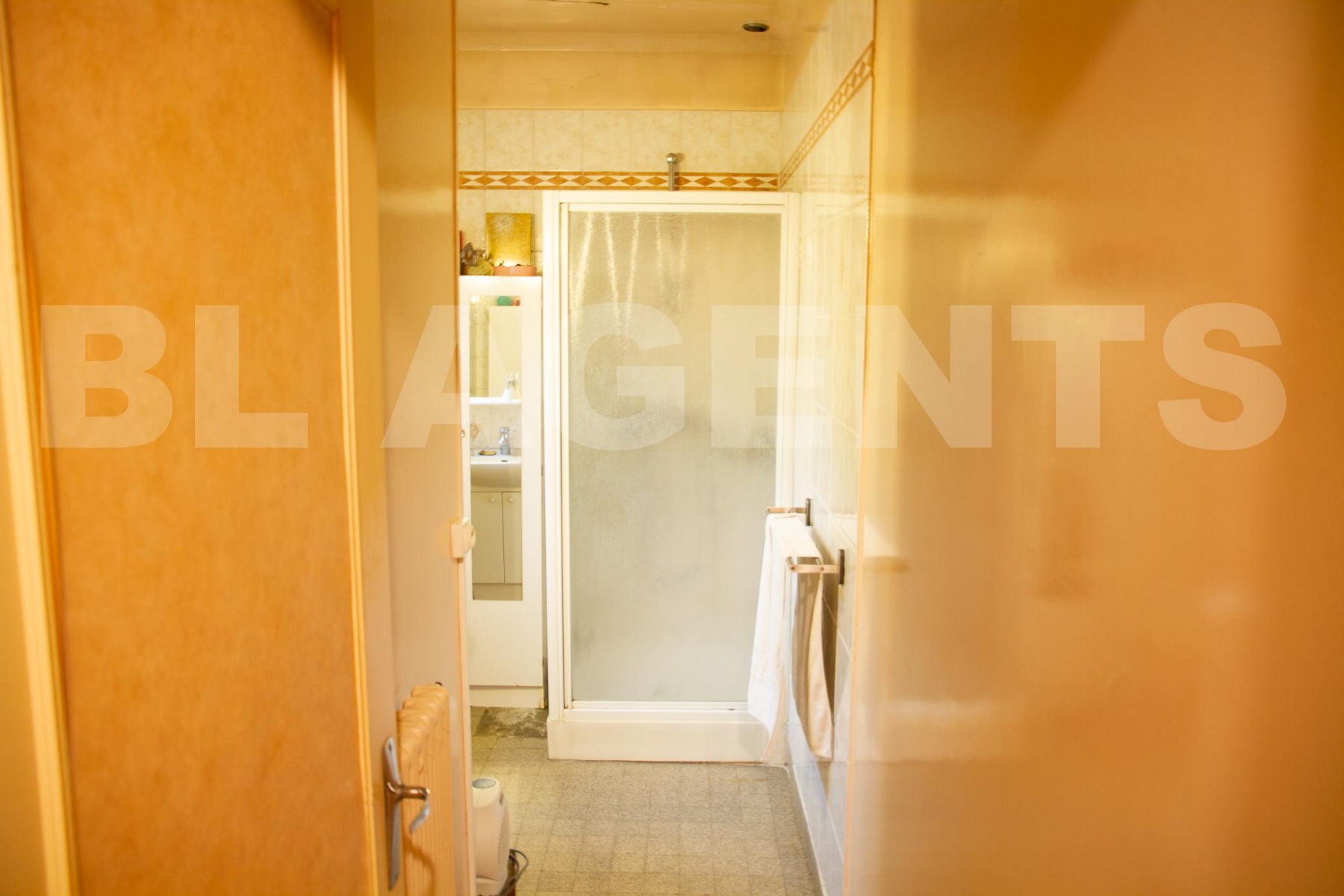 Maison 3 Pièce(s) VILLENEUVE-LE-ROI - Photo 8