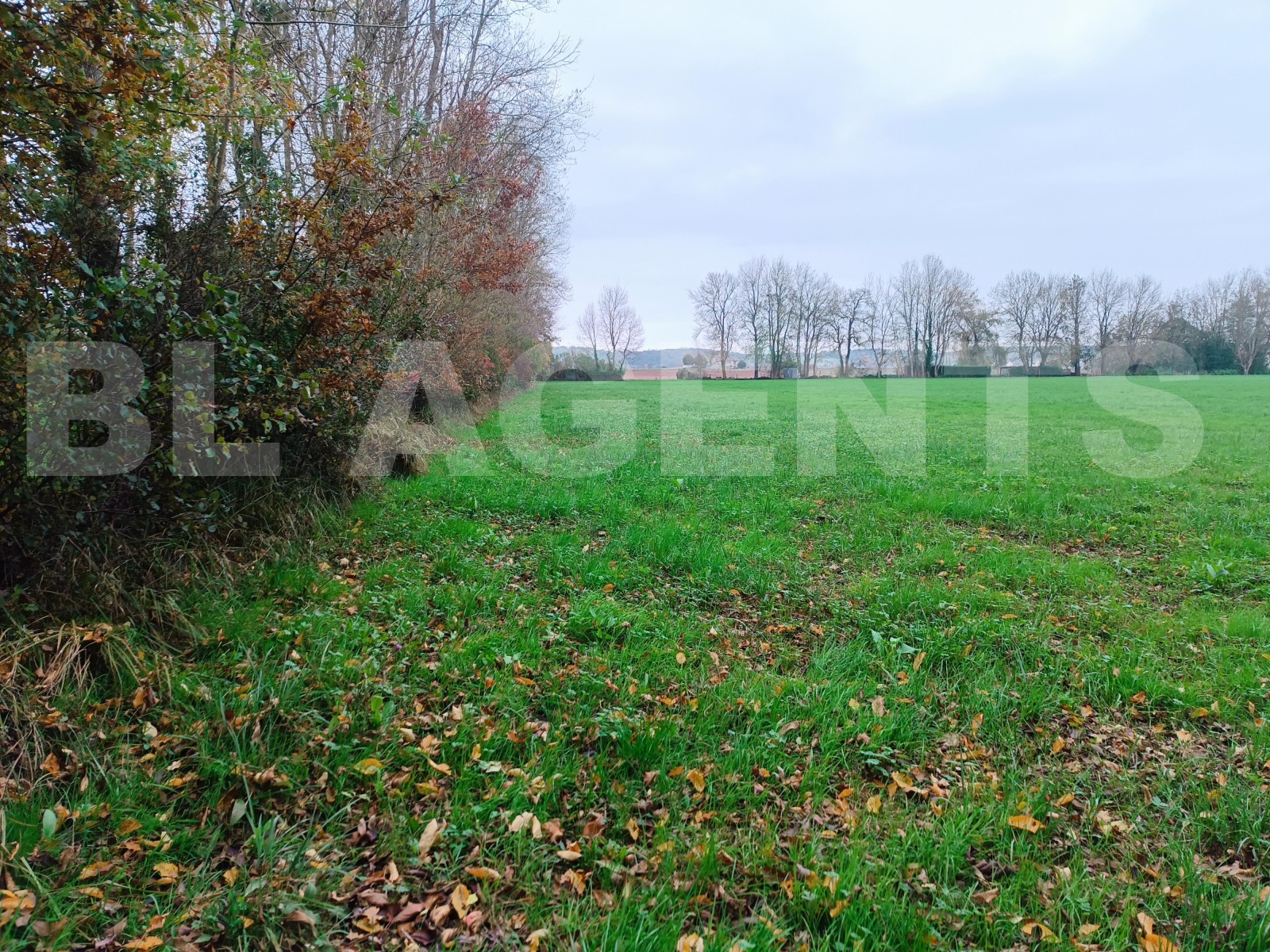 Terrain  SAINT-OUEN - Photo 1