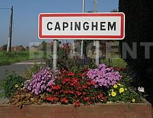 Terrain  CAPINGHEM - Photo 1