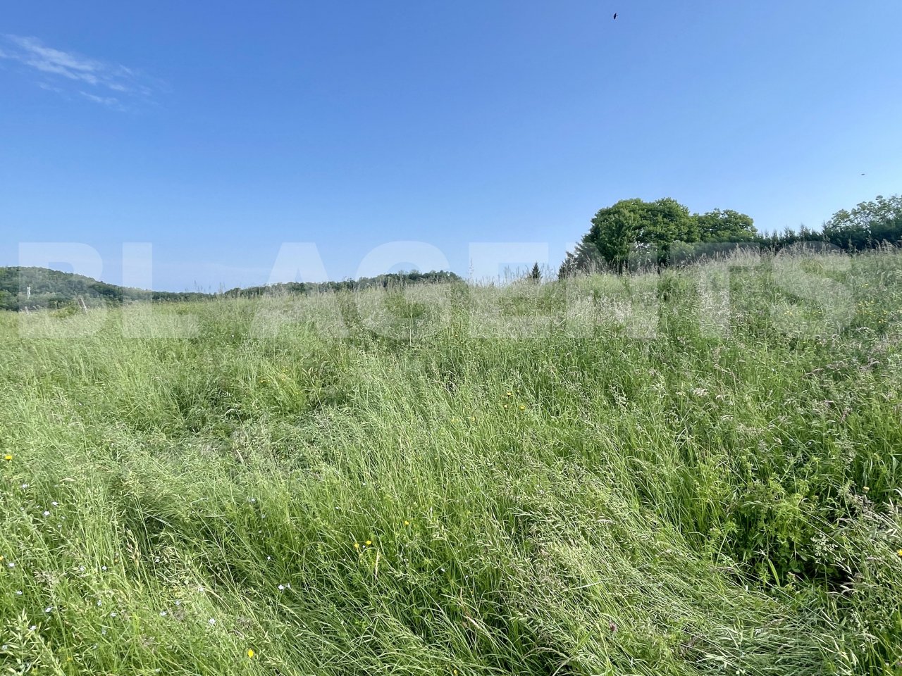 Terrain  CRANSAC - Photo 4