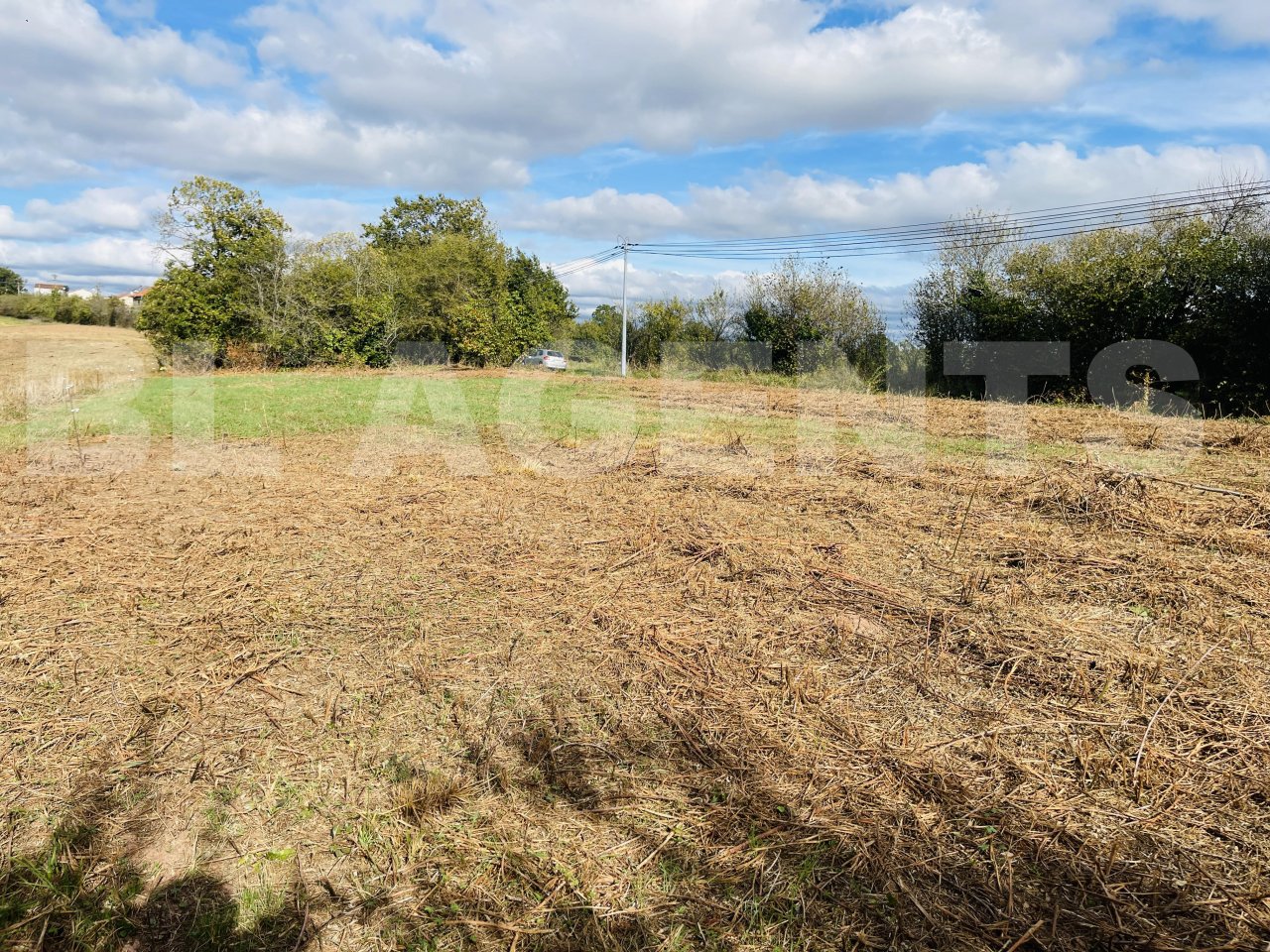 Terrain  LES ALBRES - Photo 1