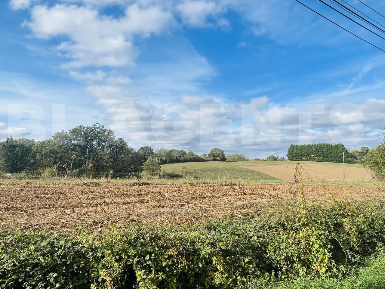 Terrain  LES ALBRES - Photo 2