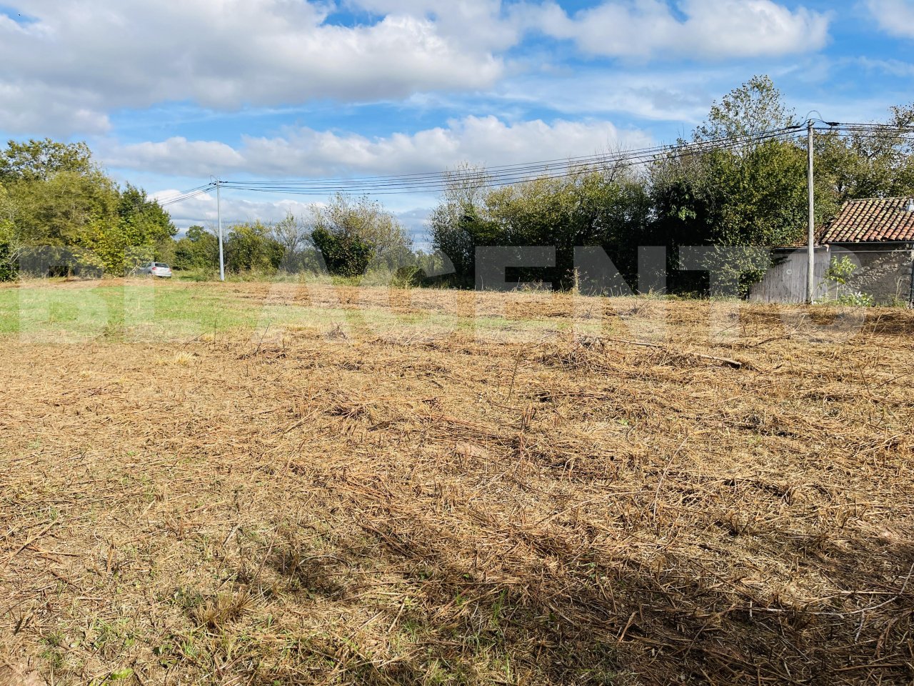 Terrain  LES ALBRES - Photo 3