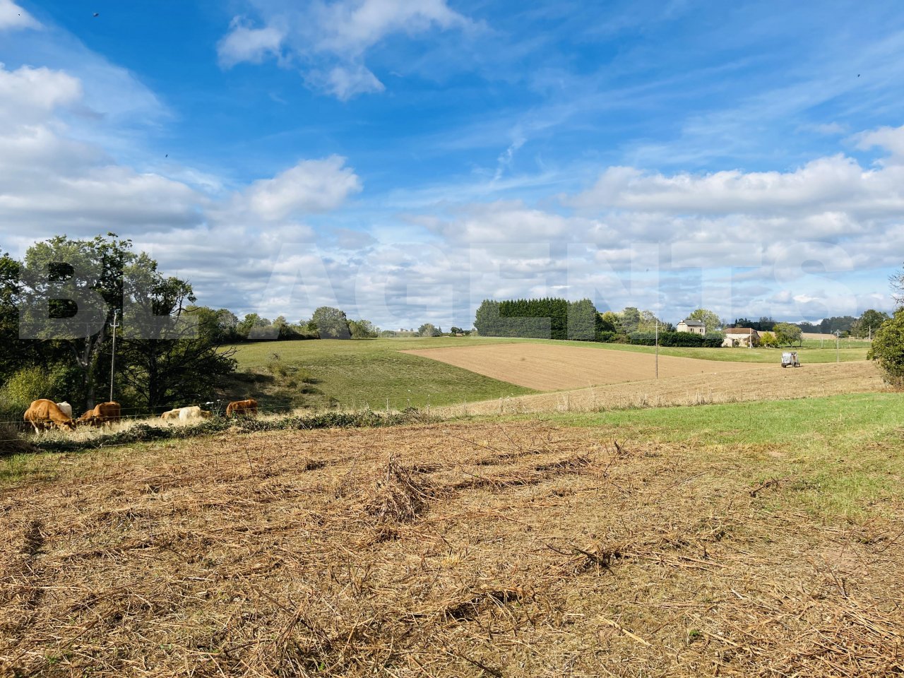 Terrain  LES ALBRES - Photo 6