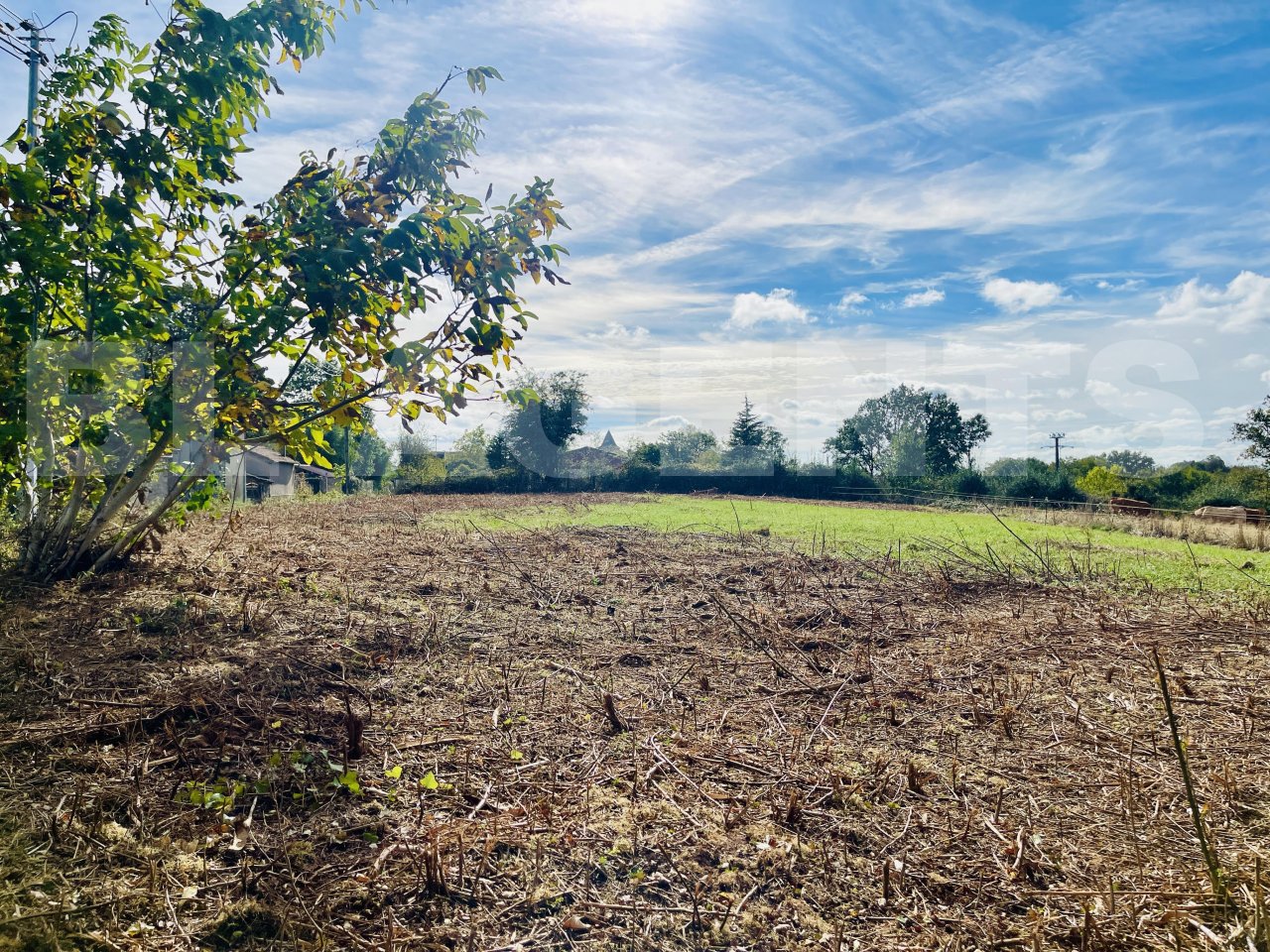 Terrain  LES ALBRES - Photo 7