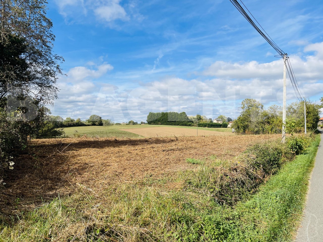 Terrain  LES ALBRES - Photo 9