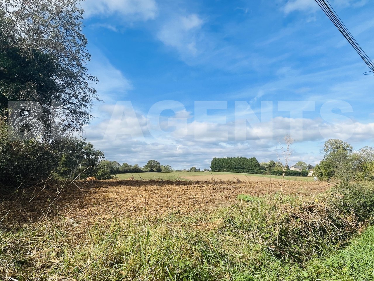Terrain  LES ALBRES - Photo 10