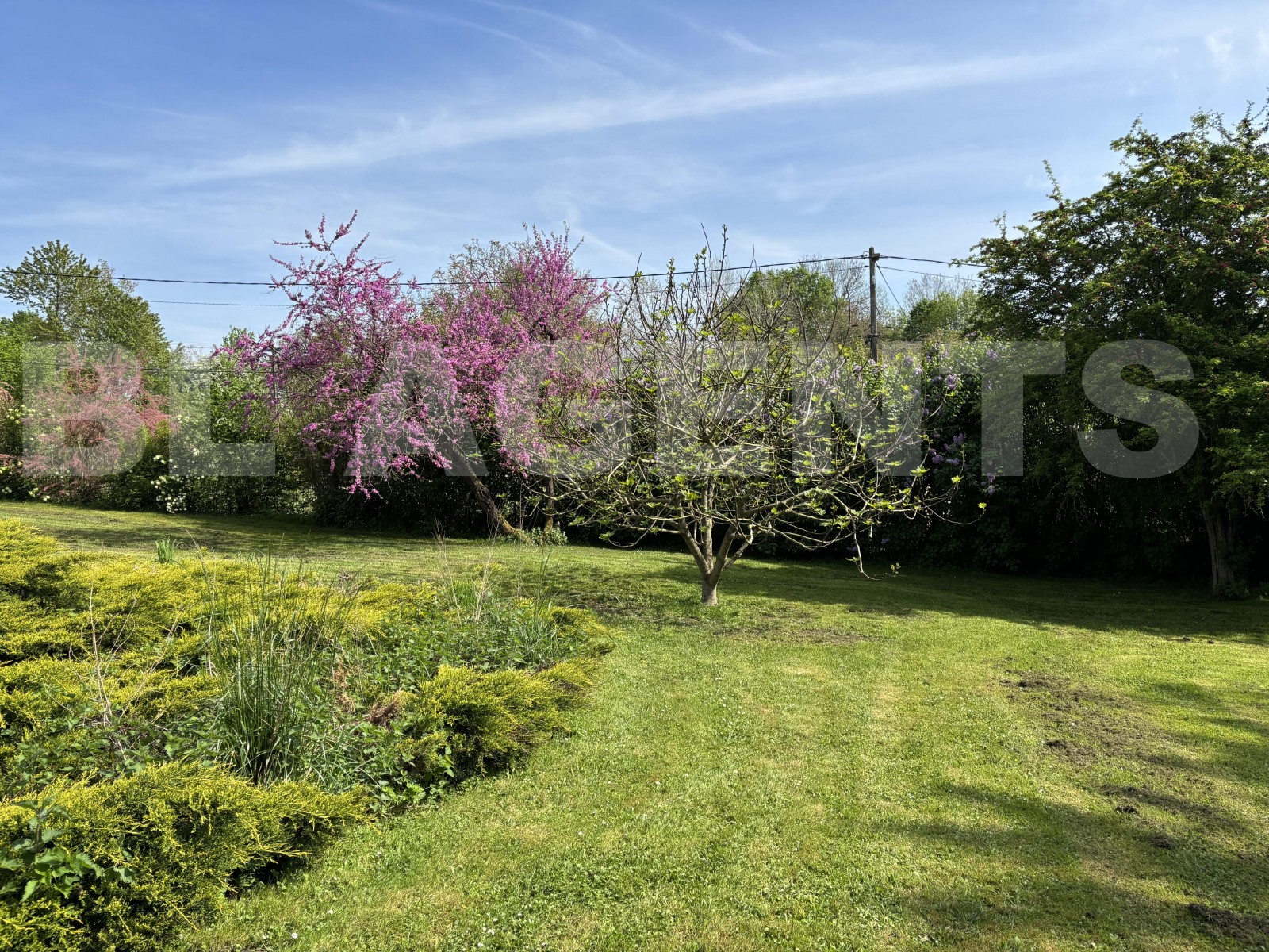 Terrain  SAINT-JEAN-LES-DEUX-JUMEAUX - Photo 3
