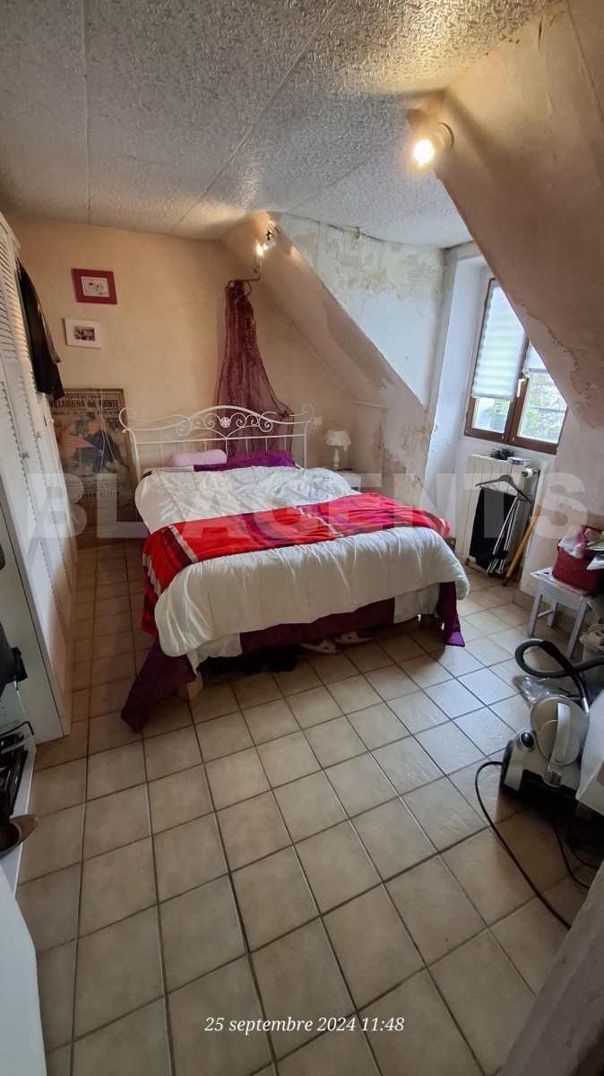 Immeuble  TORCY - Photo 7