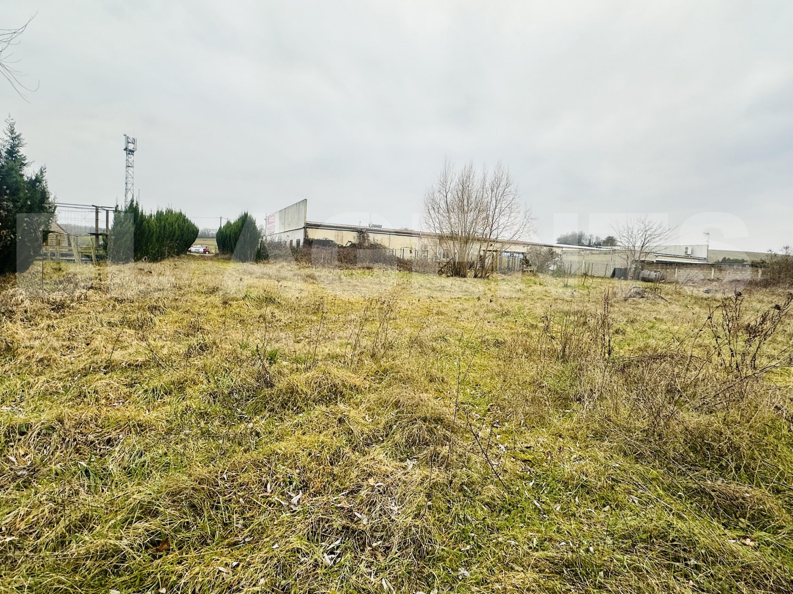 Terrain  APPOIGNY - Photo 3