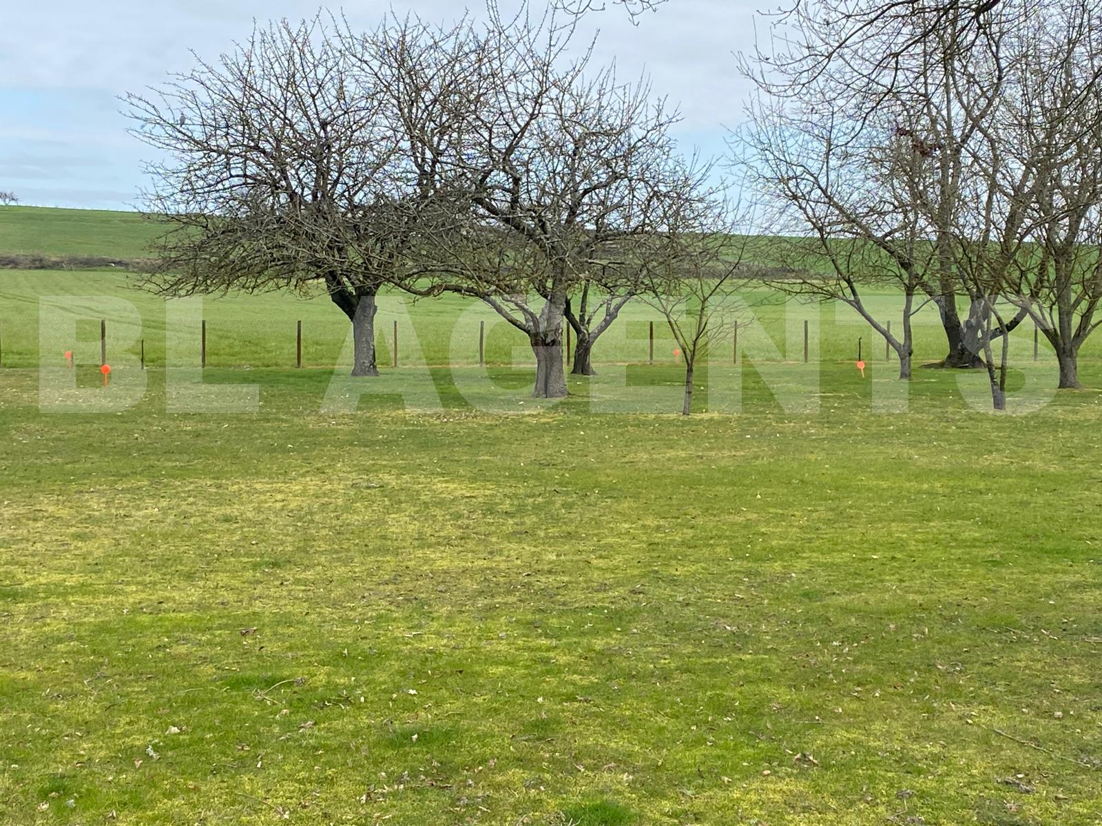 Terrain  LUCHE-PRINGE - Photo 1