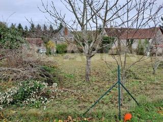Terrain  LUZILLE - Photo 3