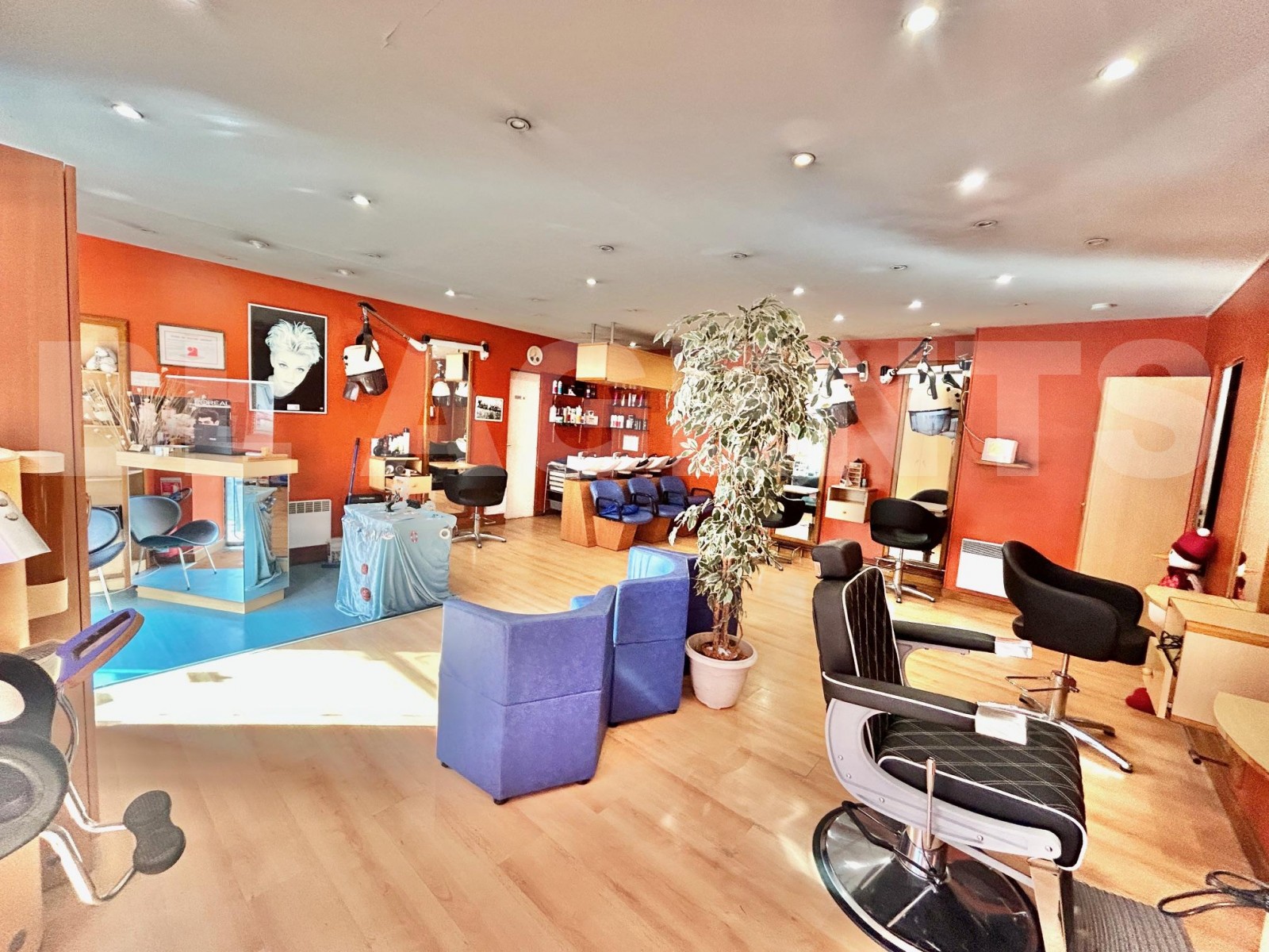 Boutique 2 Pièce(s) RAMBOUILLET - Photo 1