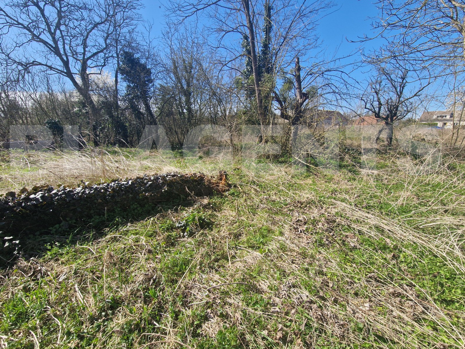 Terrain  BARBEY - Photo 2