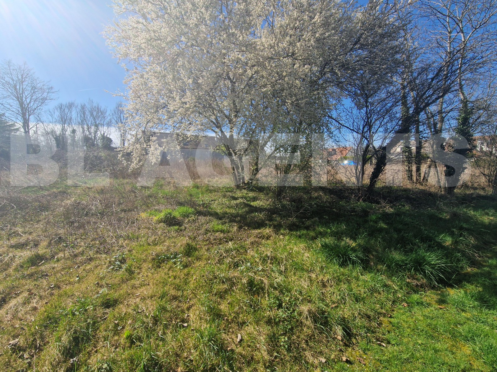 Terrain  BARBEY - Photo 4