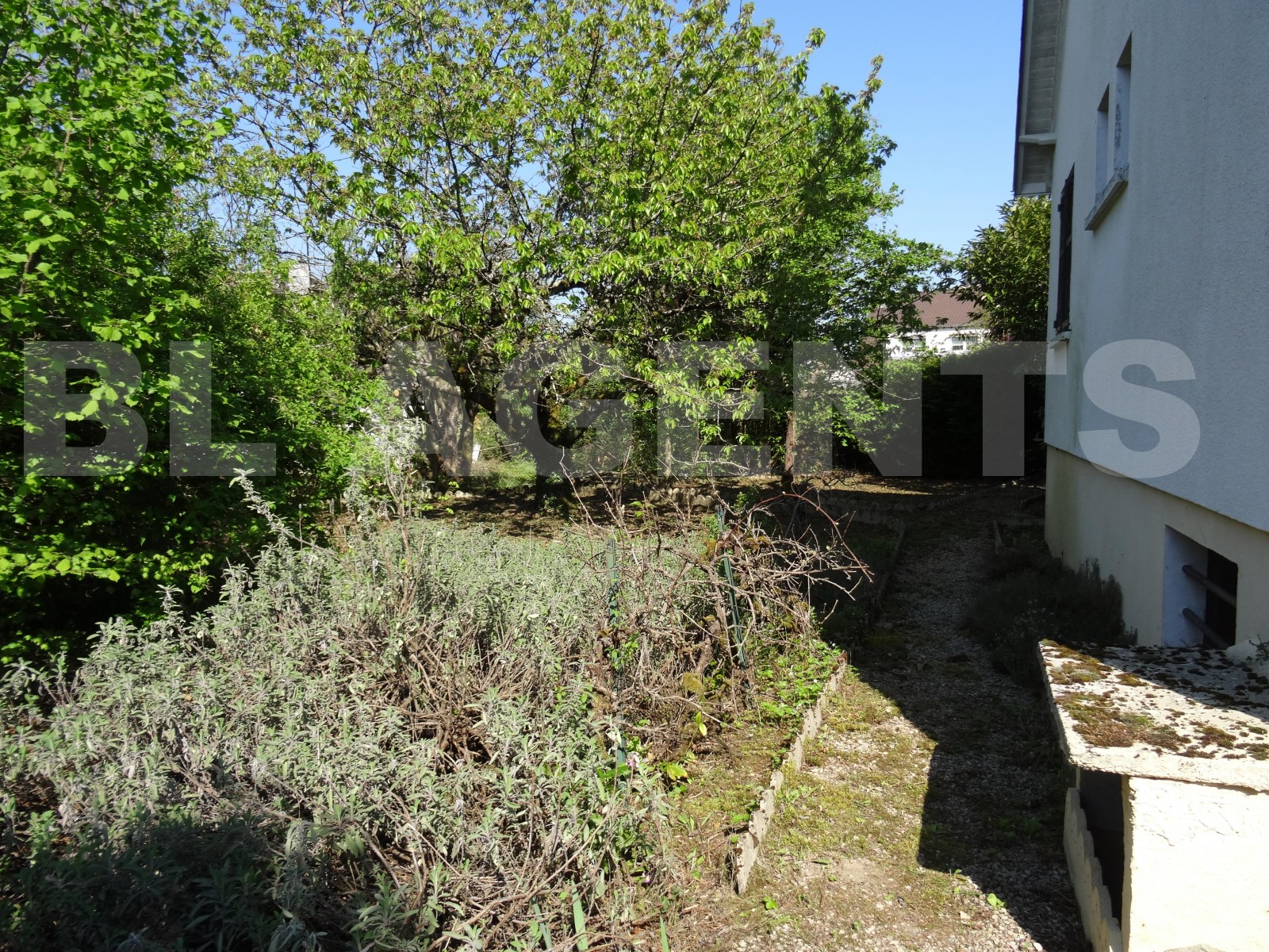Maison 3 Pièce(s) CRAVANT - Photo 6