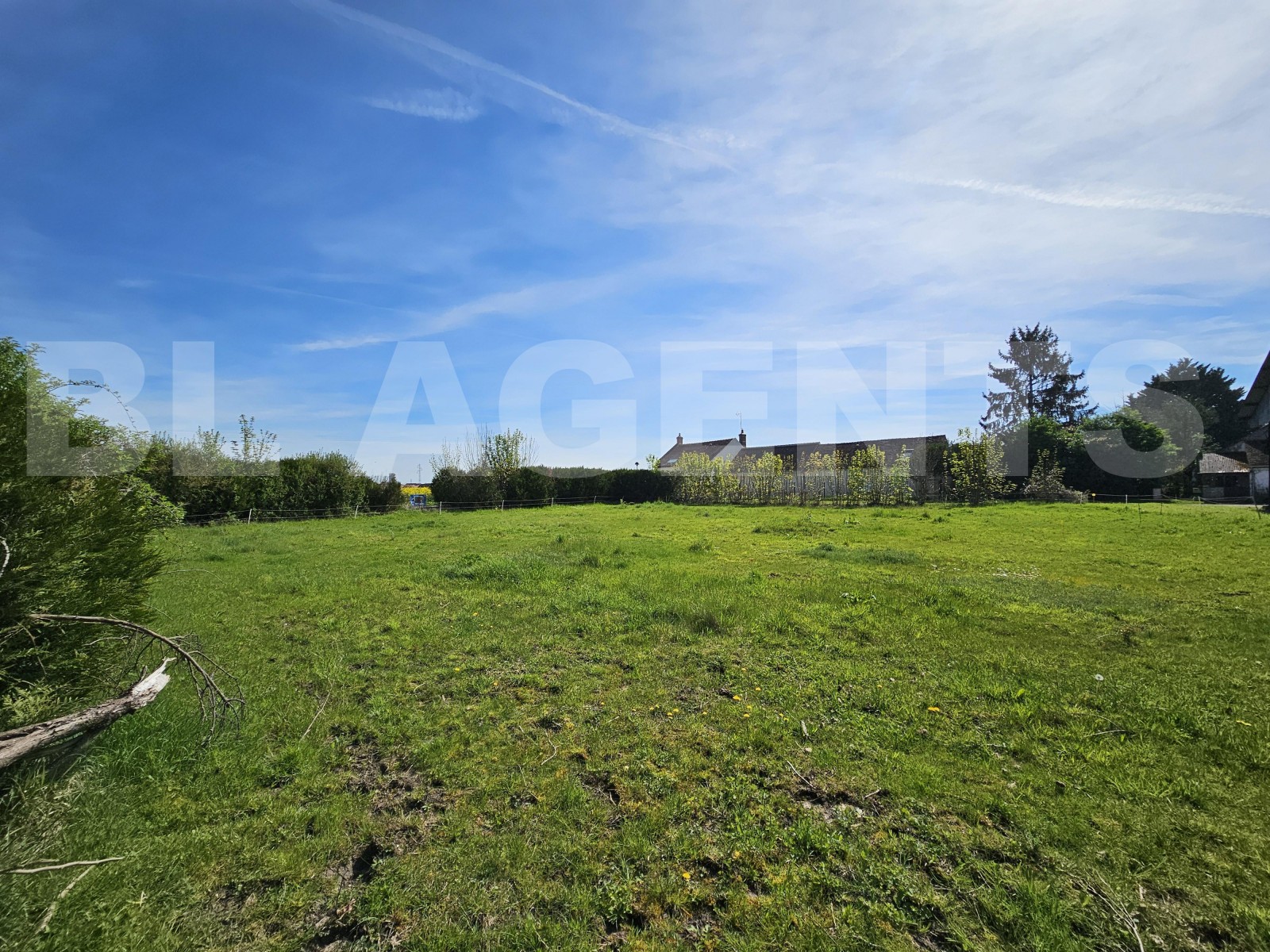 Terrain  PANNES - Photo 4