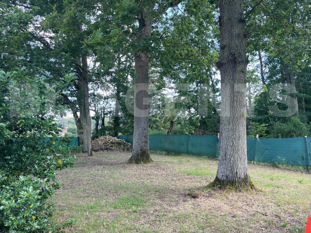 Maison 6 Pièce(s) ADAINVILLE - Photo 18